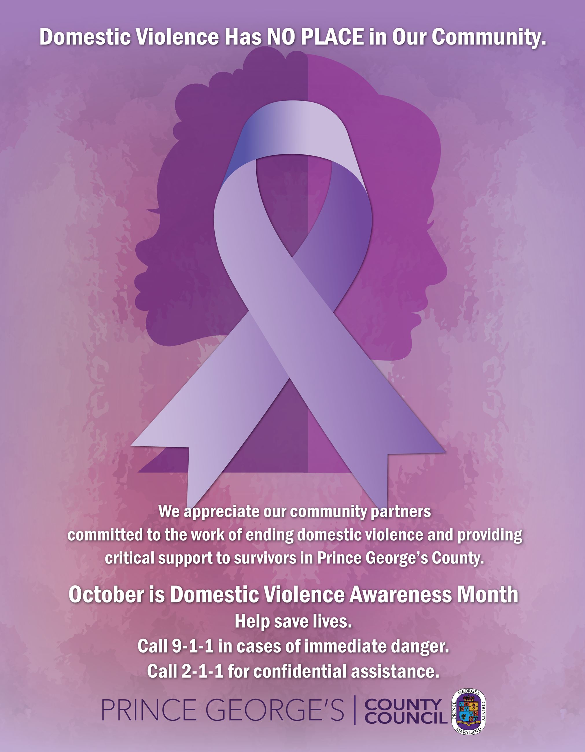 Domestic.Violence.20202_1-01