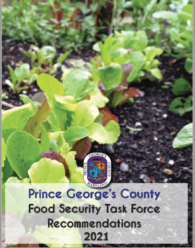 Screen Shot 2022-02-04 at 9.46.08 AM